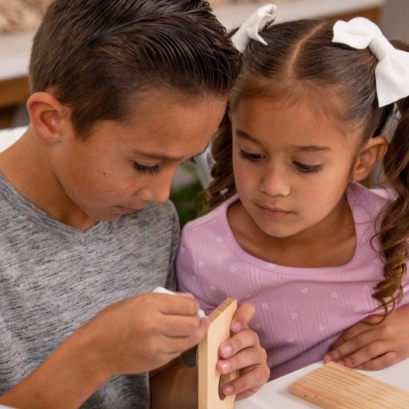 Hapinest Wooden Bird Houses to Paint and Build  Birdhouse Kit for Kids  Wood Painting Building Projects Fun Activities Arts and Crafts for Kids Ages 6-8 Girls Boys  DIY Bird House Kit 5-12 Years & Up - Image 3